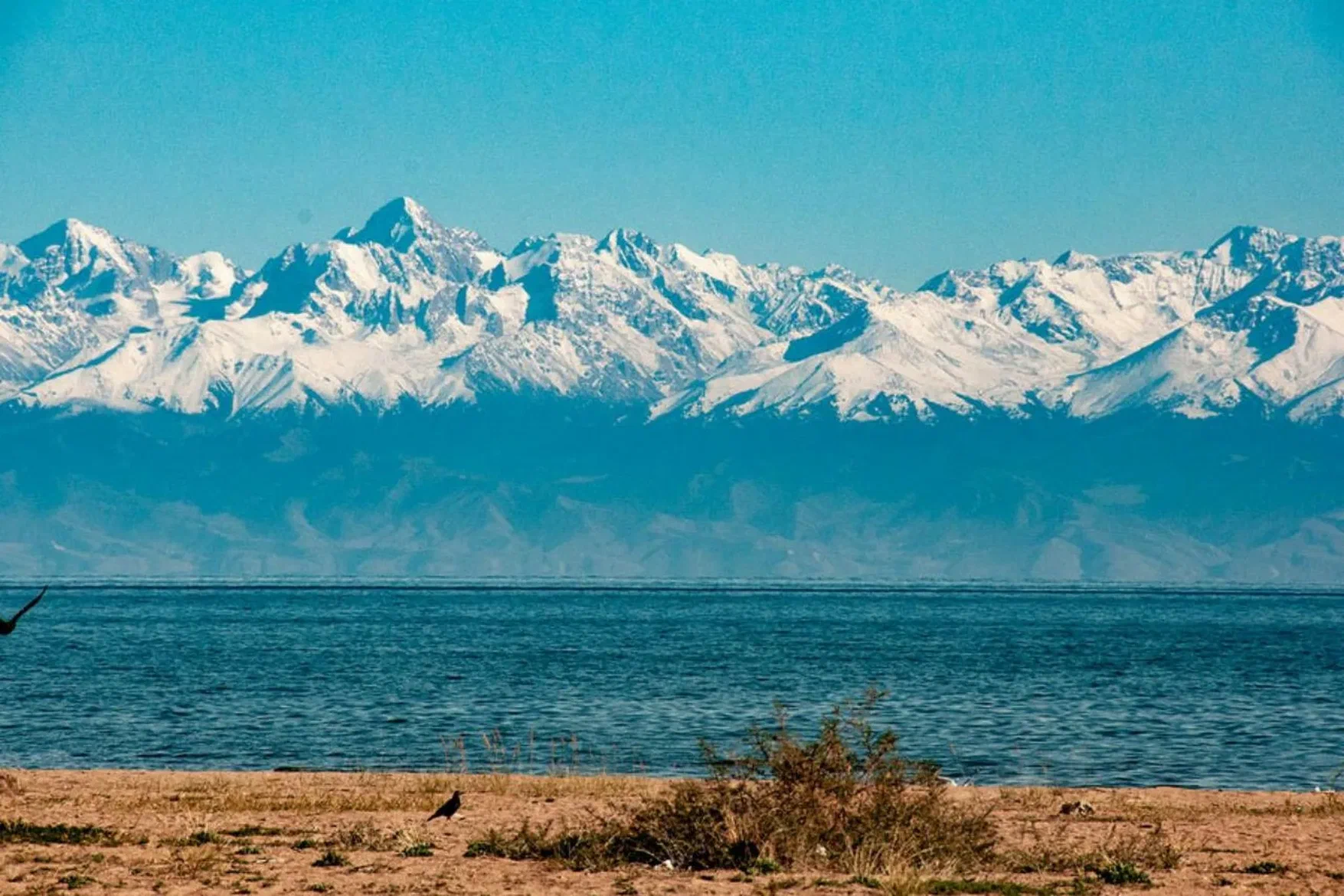 Южный берег